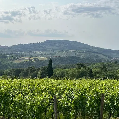 Casale Armonia 別荘 *