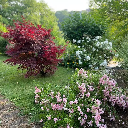 Casale Armonia 別荘 マッサ・マルターナ