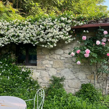 Дом отдыха Casale Armonia Масса-Мартана