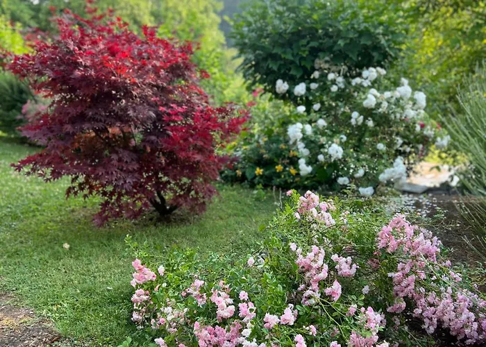 Casale Armonia 別荘 マッサ・マルターナ