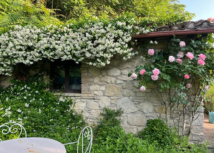 別荘 Casale Armonia マッサ・マルターナ